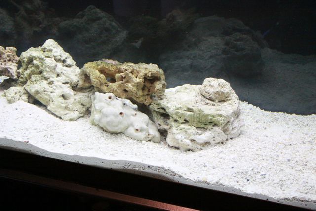 fish tank 14.jpg