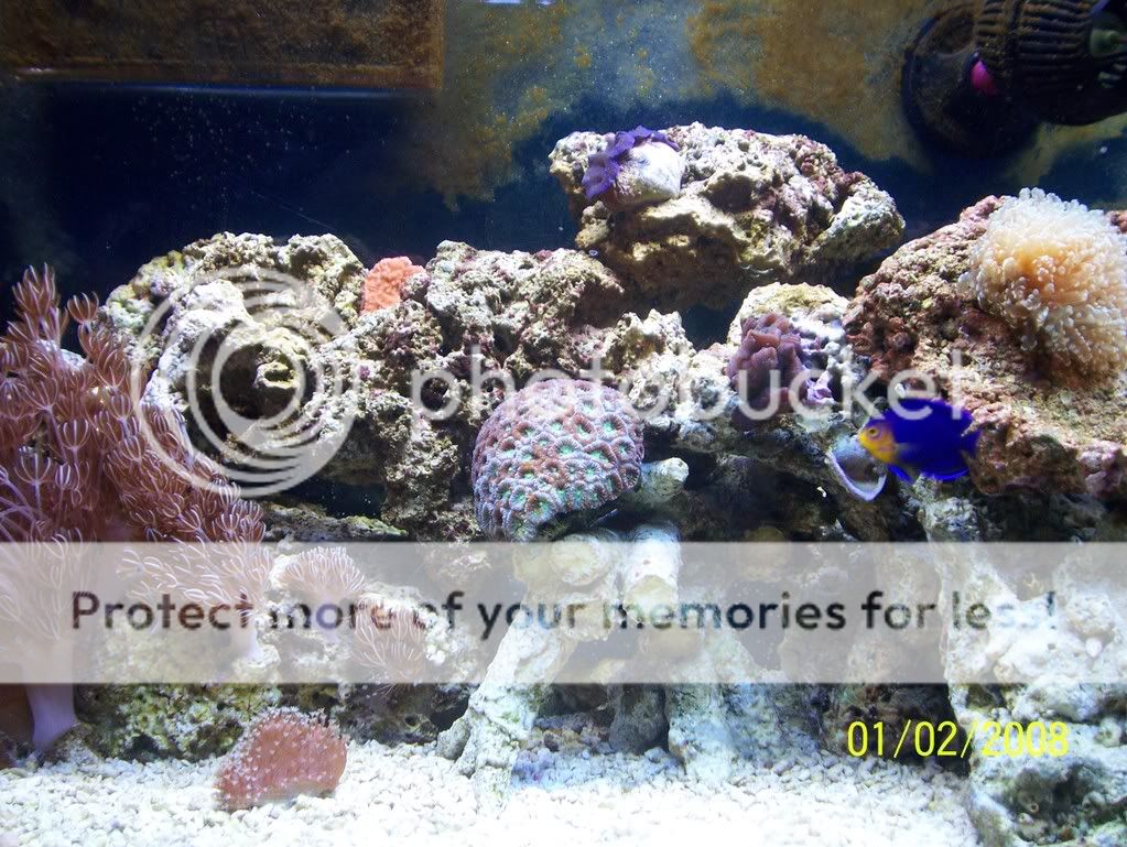 Aquarium346.jpg