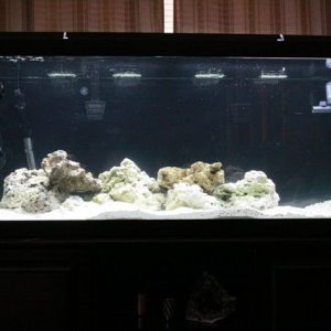 fish tank 3.jpg