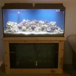 new tank with stand 30 may 2011.jpg