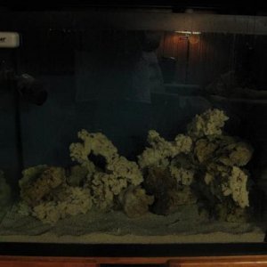 reef tank 015sm.jpg