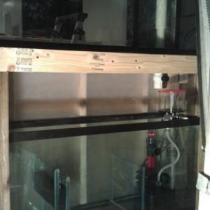 sump and tank in place.jpg