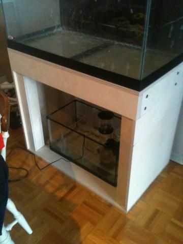 New Stand and Sump.jpg