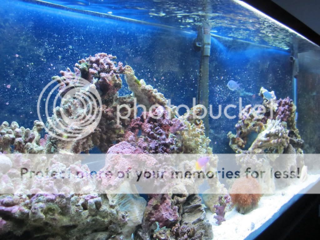 aquarium002.jpg