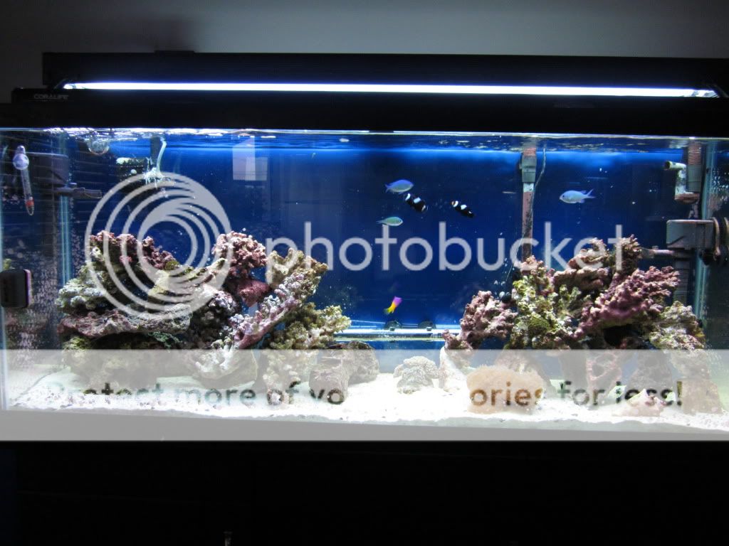 aquarium032.jpg