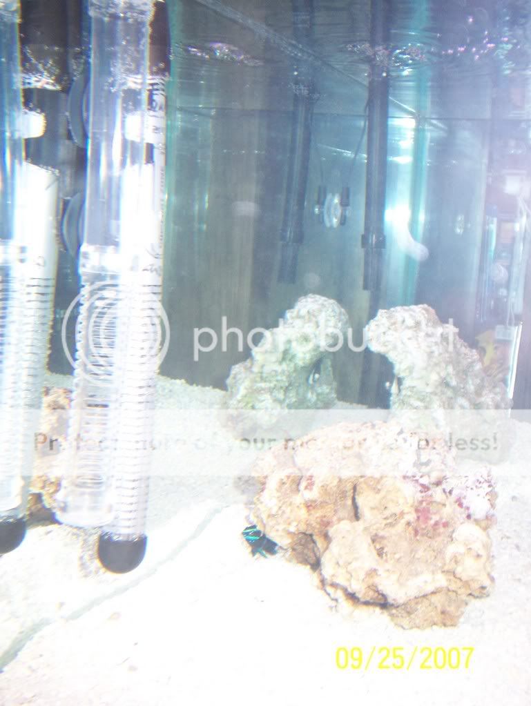 Aquarium019.jpg