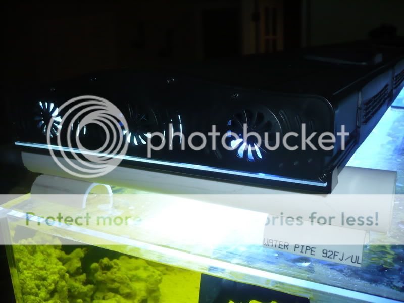fishlightfotos010.jpg
