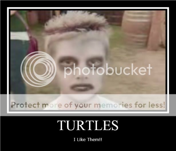 i-like-turtles.jpg